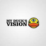 My Duck's Vision: Правда о переводчиках